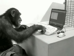 monkey-on-computer.jpg